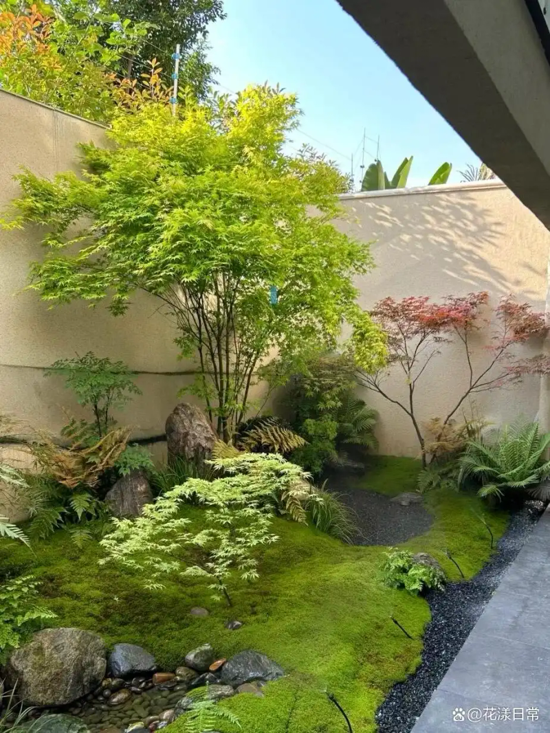 Landscape tree planting techniques