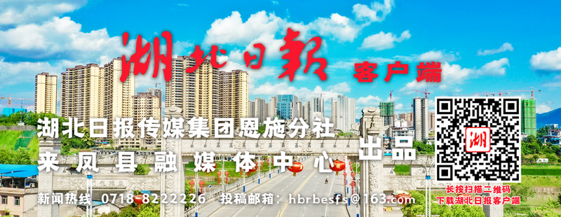 Technology for fruit growing in large sheds