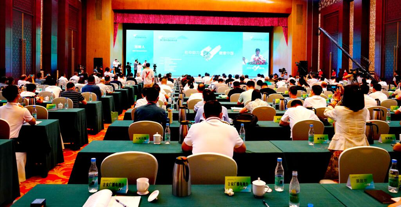 杜仲种子怎么种植技术