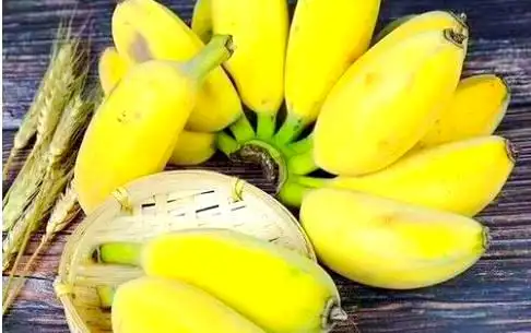 南方适合种植什么水果