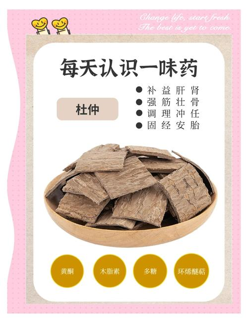 杜仲种子怎么种植技术