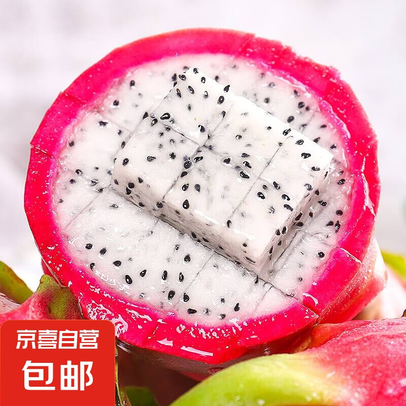 南方适合种植什么水果