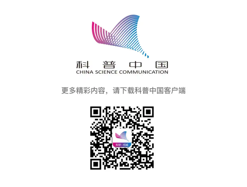 西红柿怎么种植技术