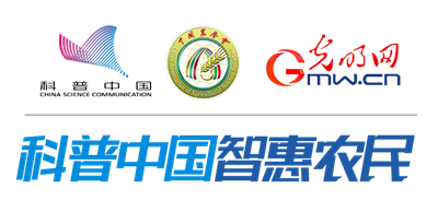 【科学种植百问百答】如何对番茄进行肥水管理?