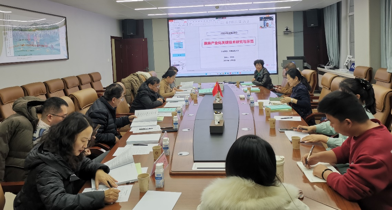 厥麻的种植技术