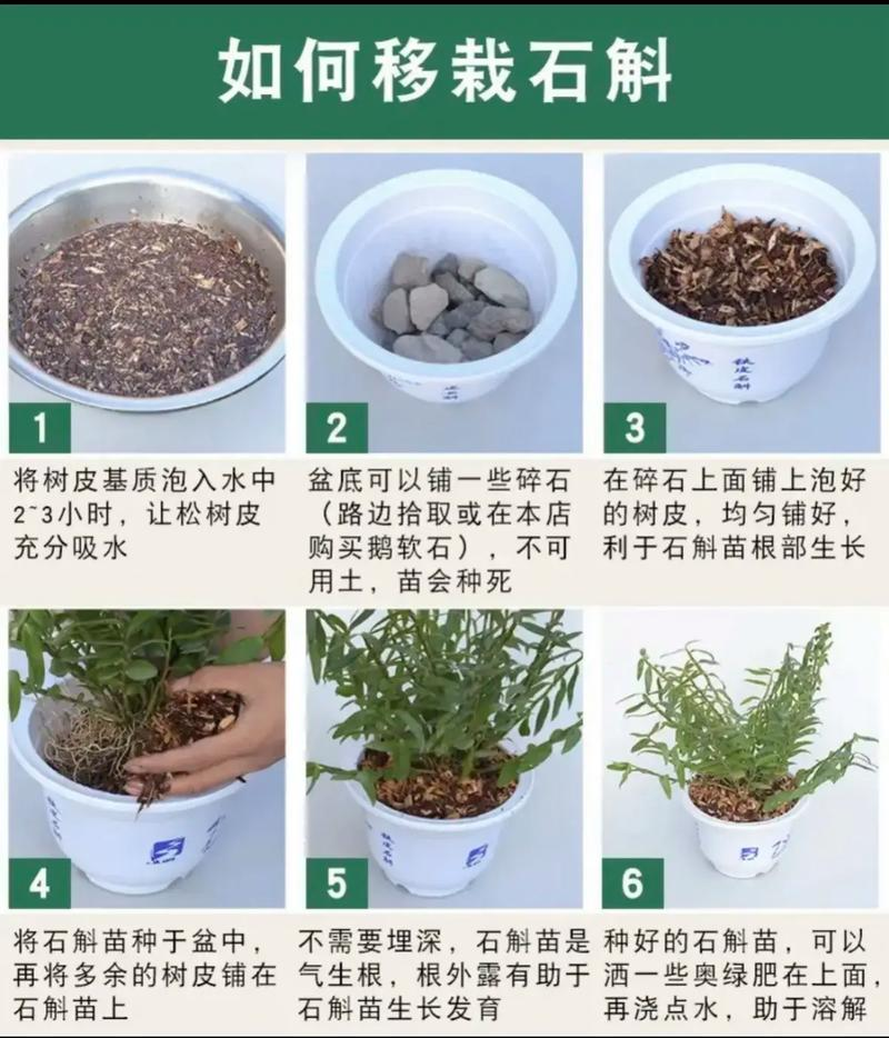 30 methods of planting iron and stone