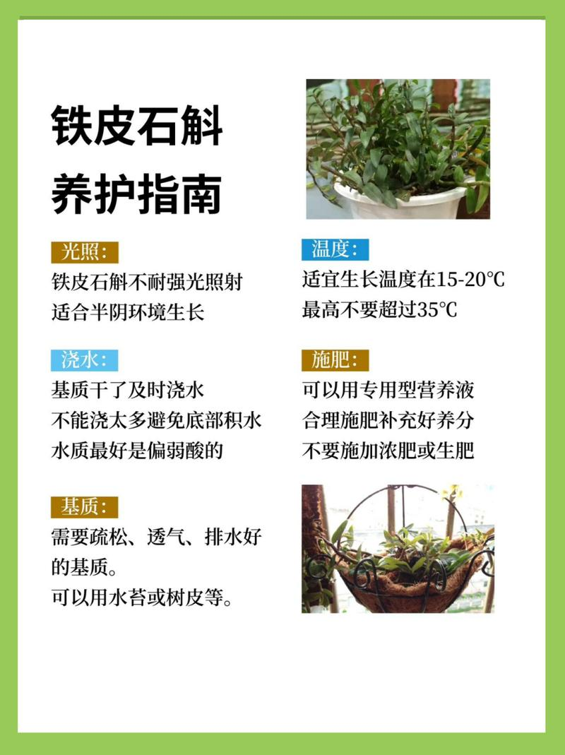 30 methods of planting iron and stone