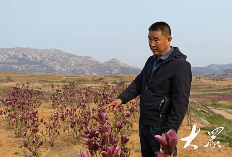 Tamran seed farming techniques