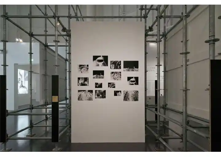 iconography电影术语