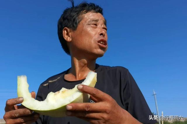 白地瓜种植技术