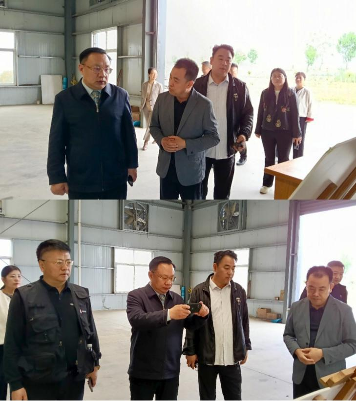 杜仲种子怎么种植技术