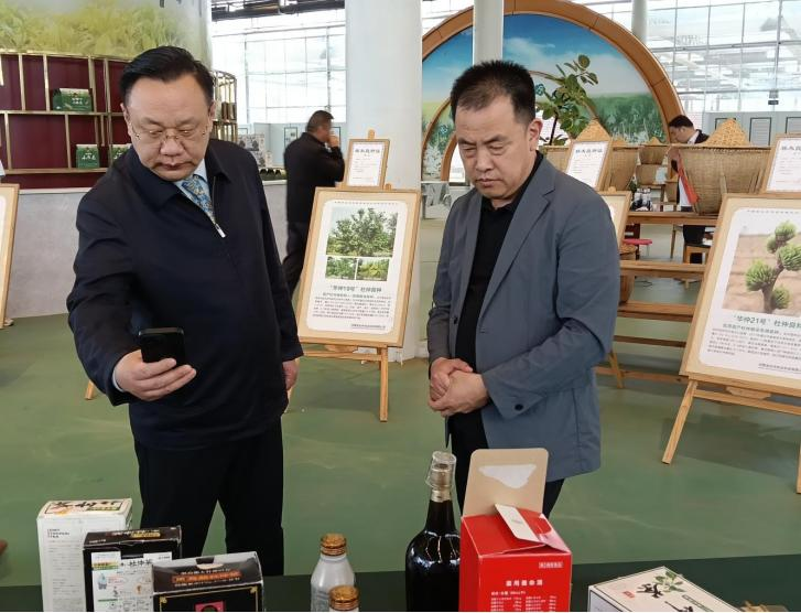 杜仲种子怎么种植技术