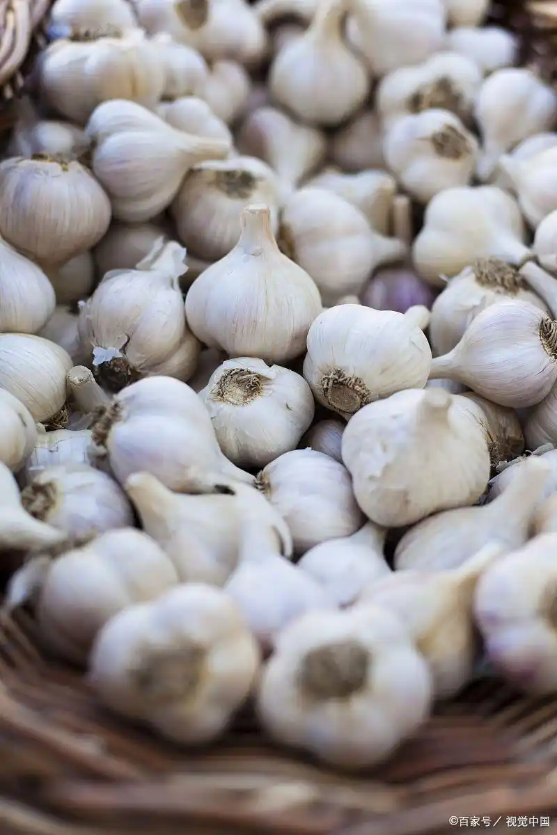 东北大蒜种植技术