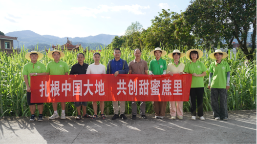 甘蔗的种植方法视频