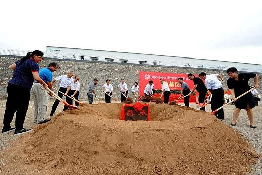 杜仲种子怎么种植技术