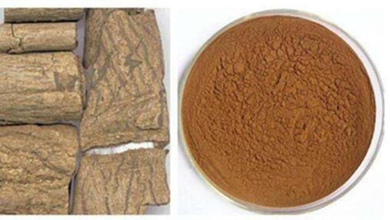 杜仲种子怎么种植技术