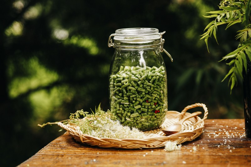 扁豆种植技术视频