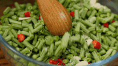 扁豆种植技术视频