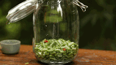 扁豆种植技术视频