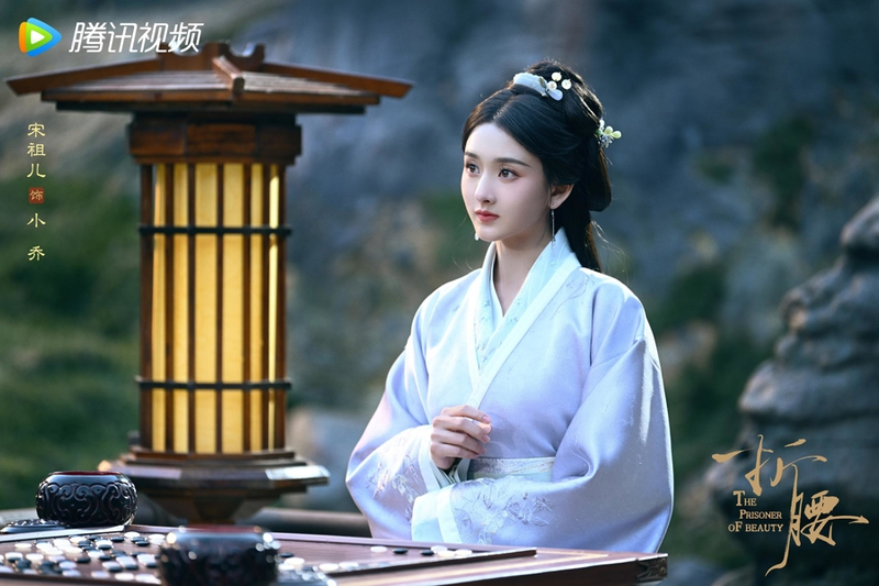 电视剧功能特点