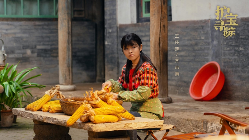 电视剧功能特点