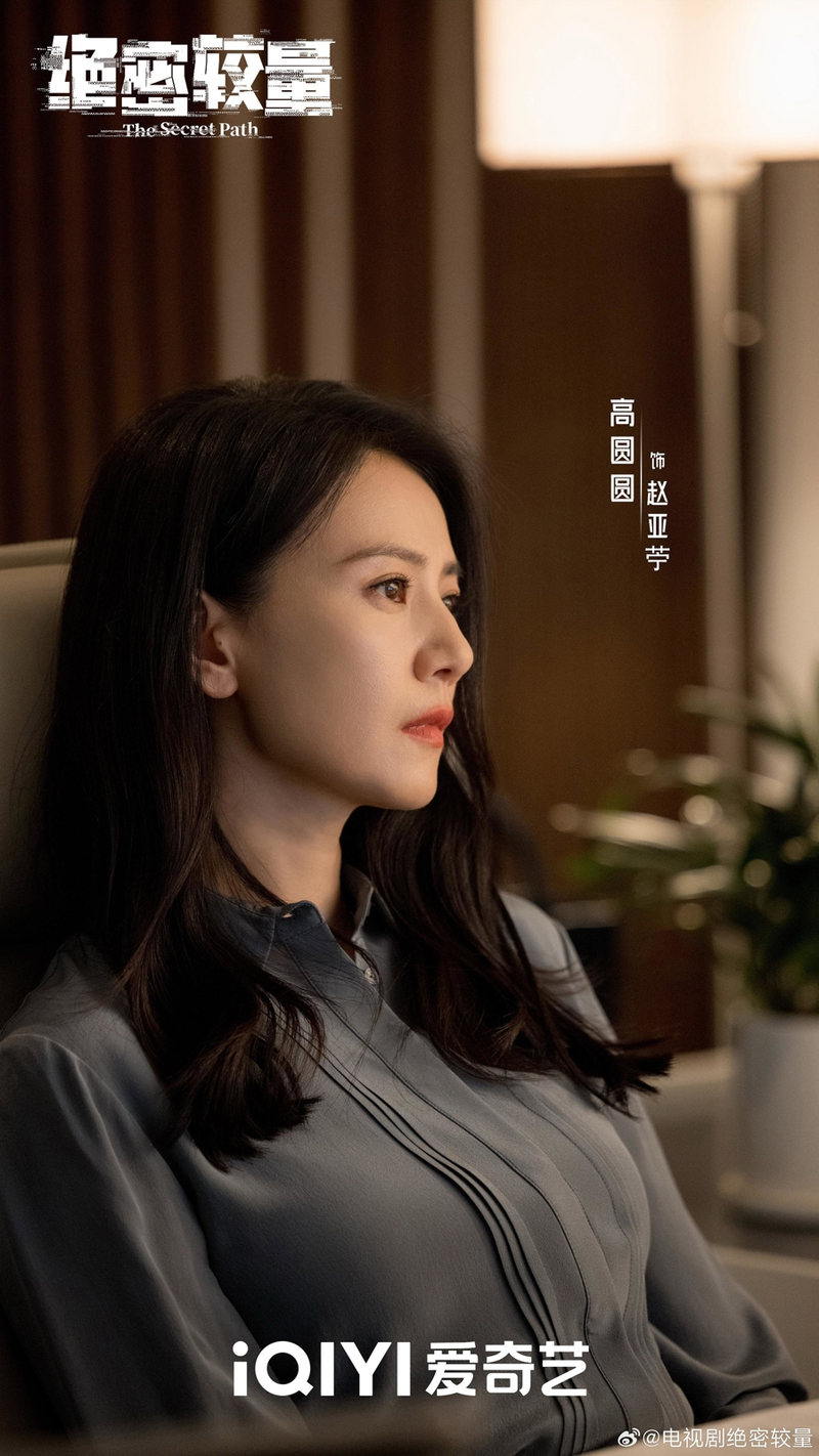 电视剧功能特点