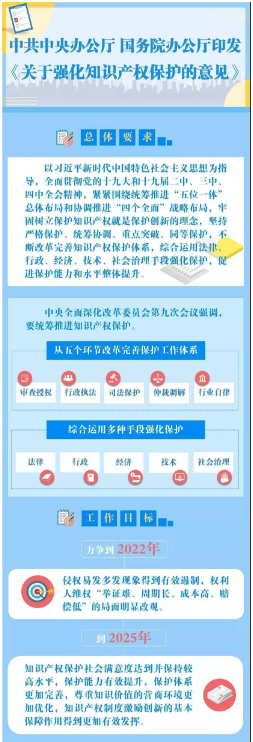 知识产权保护法的完善距今