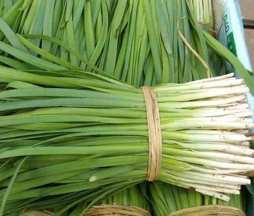 The simplest way to grow cuisine