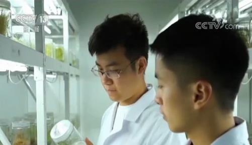 月球种植蔬菜图片