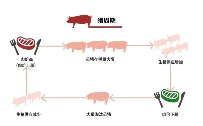 猪肉价格上涨对生猪养殖生产响