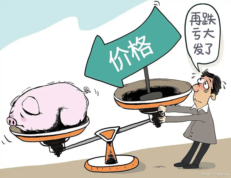 猪肉价格上涨对生猪养殖生产响