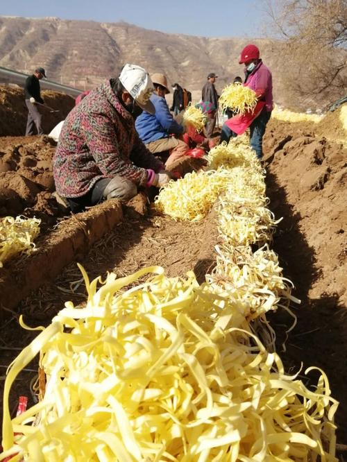 Pictures of the technology used to grow thallium