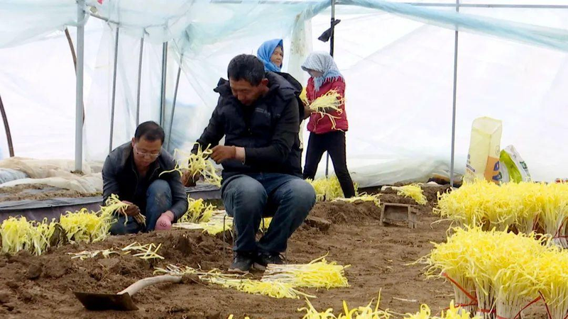 Pictures of the technology used to grow thallium