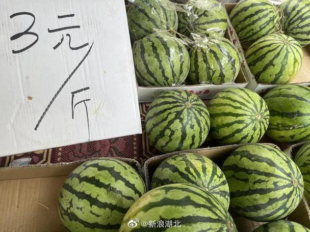 Zhejiang 842 watermelon cultivation techniques