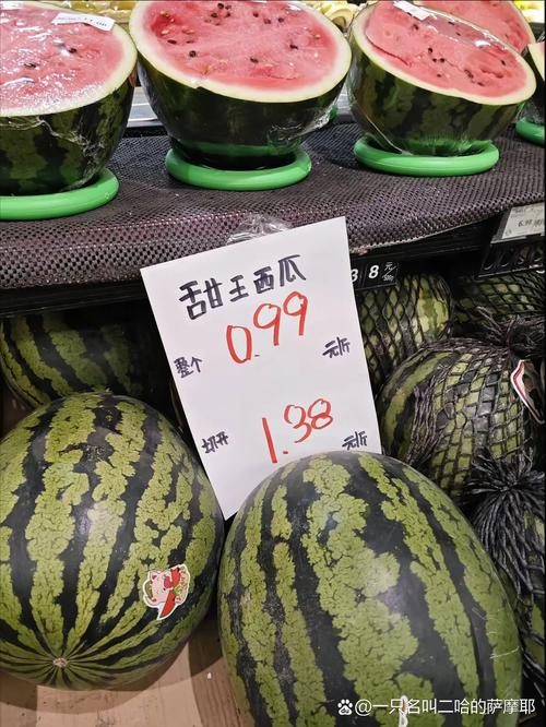 Zhejiang 842 watermelon cultivation techniques