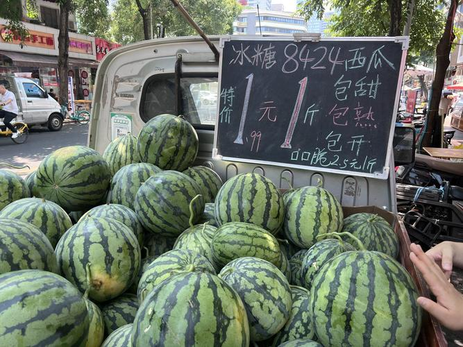 Zhejiang 842 watermelon cultivation techniques