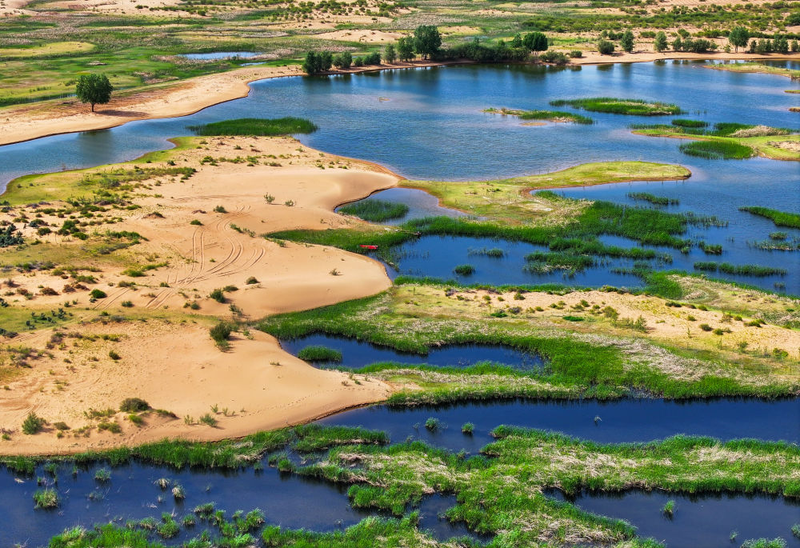 2026年蔬菜种植技术协会工作总结