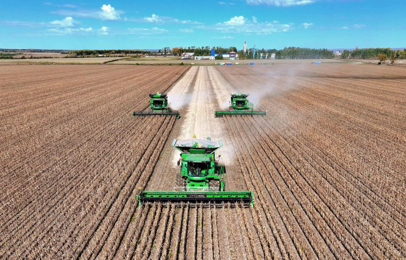 2026年蔬菜种植技术协会工作总结