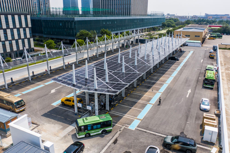 2026年蔬菜种植技术协会工作总结