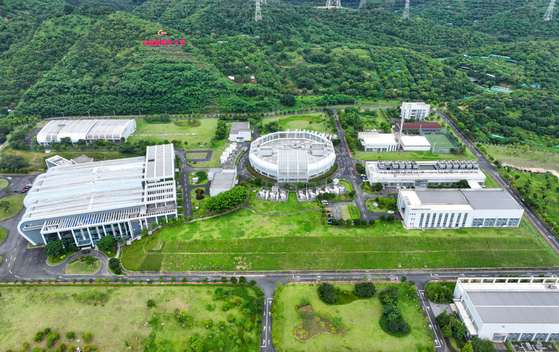 2026年蔬菜种植技术协会工作总结