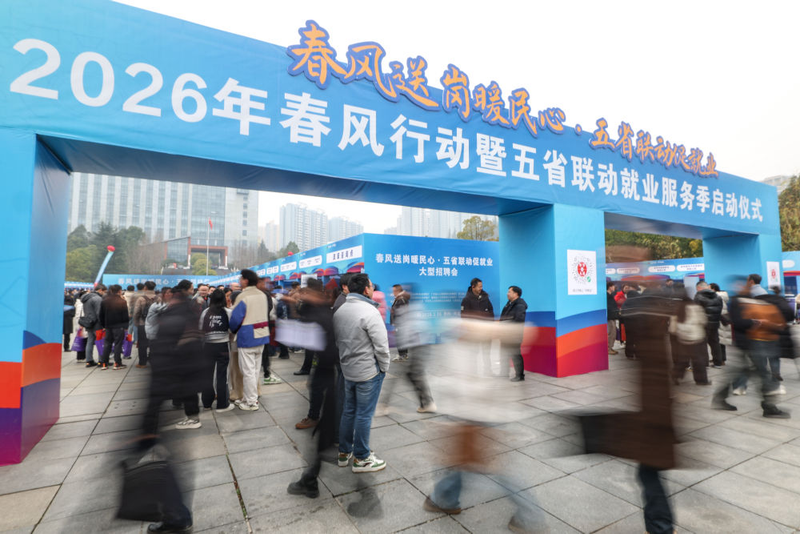 2026年蔬菜种植技术协会工作总结