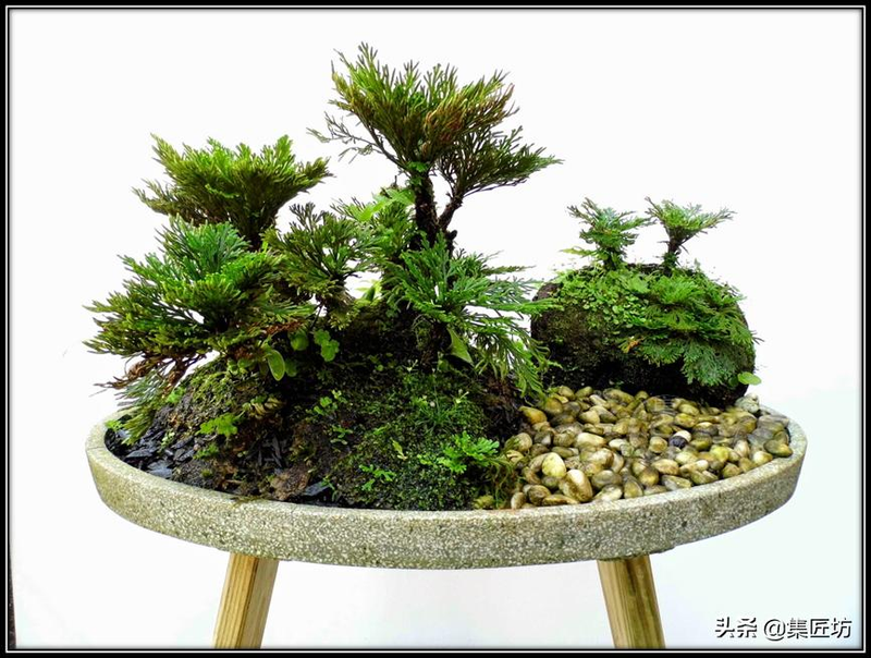 Voltage cultivation methods