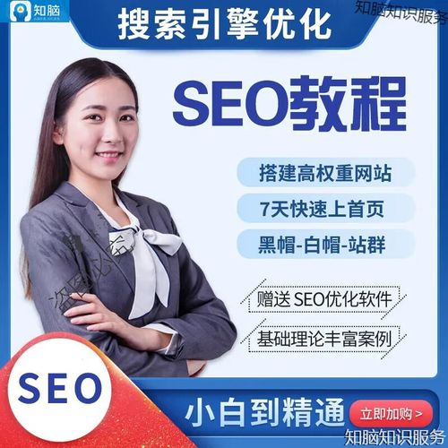 免费的seo课程
