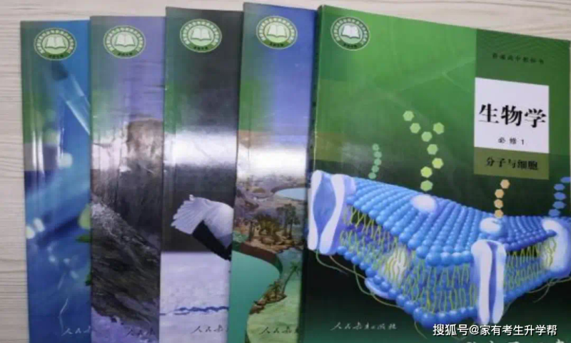 高中物理知识结构