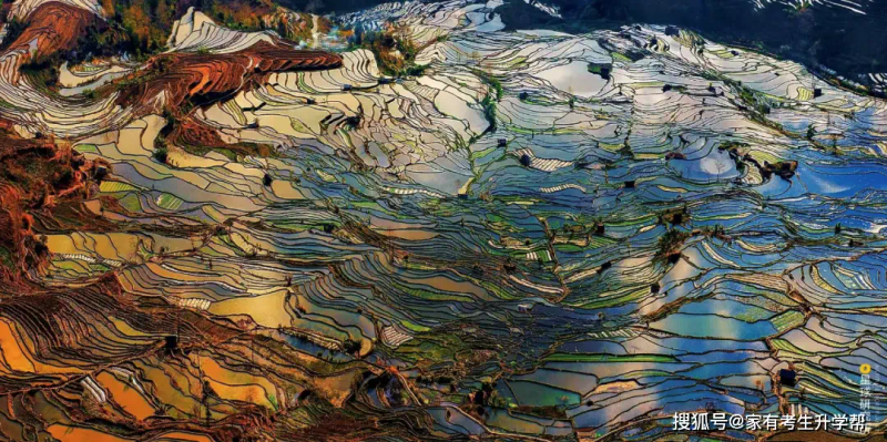 高中物理知识结构