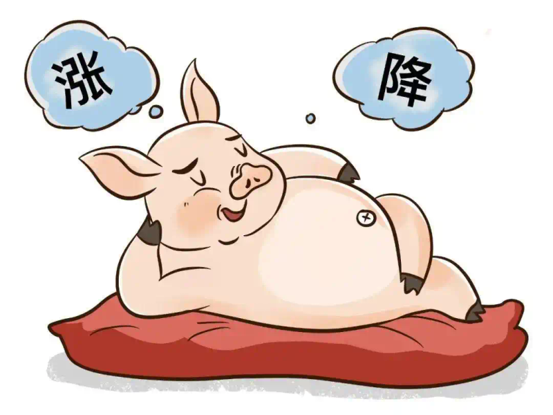 猪肉价格上涨对生猪养殖生产响