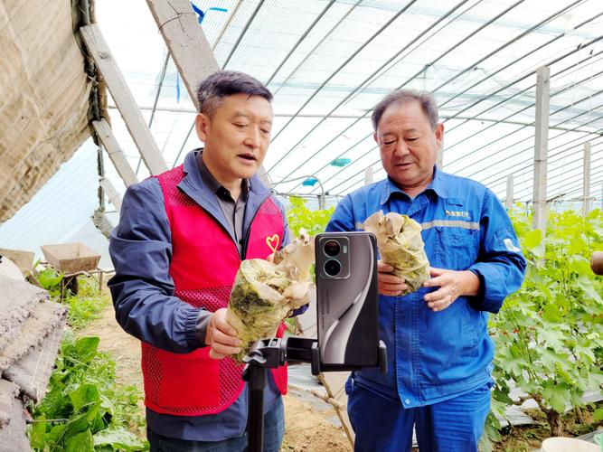 2026年蔬菜种植技术协会工作总结