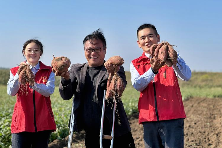 2026年蔬菜种植技术协会工作总结