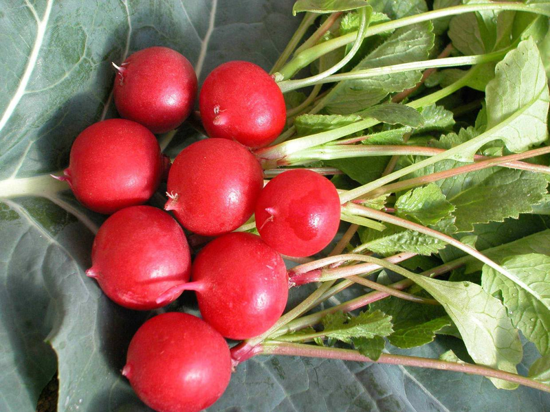 Pictures of the methods used to grow the cuisine