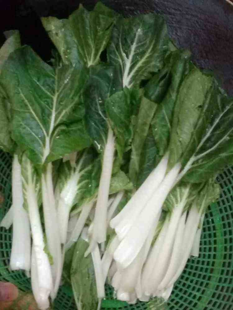 Pictures of the methods used to grow the cuisine